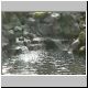 Video 4